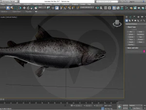 Salmone Modello 3D