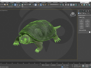 Turtle 3D मॉडल