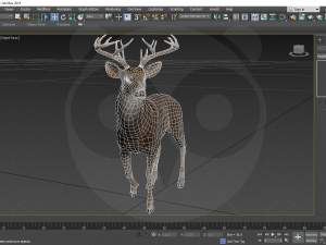 Deer Model 3D