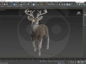 Cervo Modello 3D
