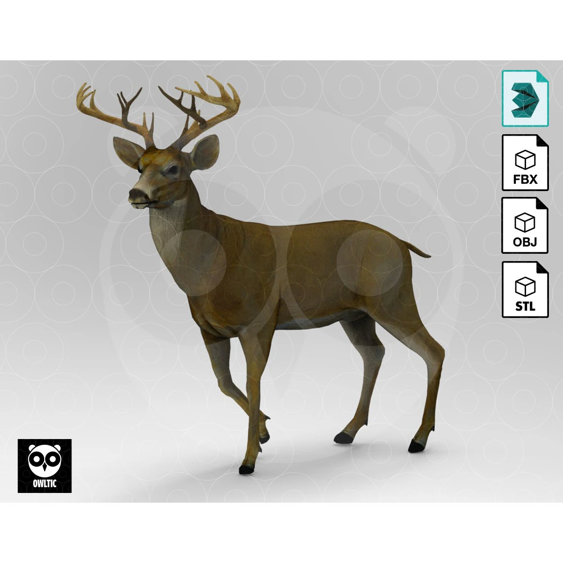 Cervo Modello 3D .c4d .max .obj .3ds .fbx .stl .blend 