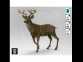 Deer Modelo 3D