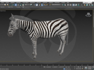 Zebra 3D Model