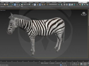 Zebra 3D Model
