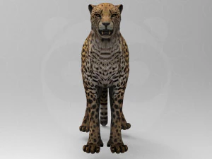 Cheetah - Rigged - Animated 3D Model