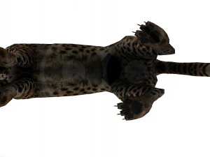 Cheetah - Rigged - Animated 3D Model