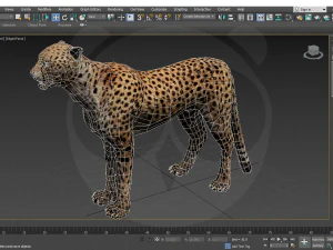 Cheetah - Rigged - Animated 3D Model