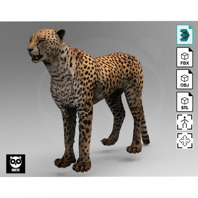 Cheetah Rigged Animated Low poly 3D Model