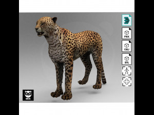 Cheetah - Rigged - Animated 3D Model
