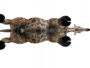 Giraffe - Rigged 3D Model