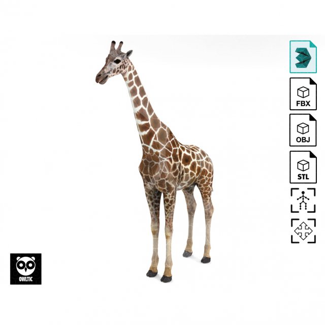 Giraffe - Rigged Modèle 3D .c4d .max .obj .3ds .fbx .stl .blend