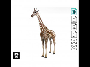 Giraffe - Rigged 3D मॉडल