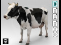 White Cow - Rigged - Animated 3D मॉडल