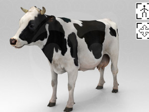 White Cow - Rigged - Animated 3D Model
