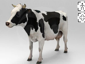 White Cow - Rigged - Animated 3D Model