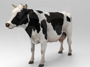 White Cow - Rigged - Animated 3D Model