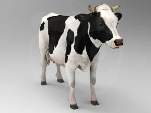 White Cow - Rigged - Animated 3D Model