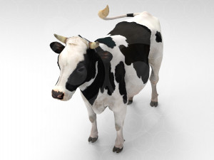White Cow - Rigged - Animated 3D Model