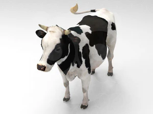 White Cow - Rigged - Animated 3D Model