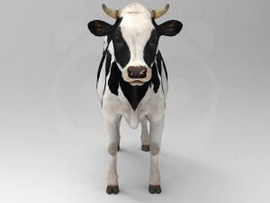 White Cow - Rigged - Animated 3D Model