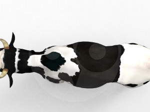 White Cow - Rigged - Animated 3D Model