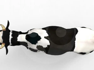White Cow - Rigged - Animated 3D Model