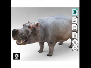 Hippopotamus - Rigged 3D मॉडल