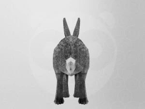 Hare - Rigged - Animated 3D Model