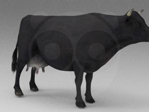 Black Cow 3Dモデル