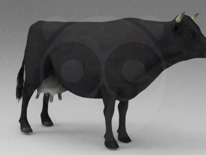 Vaca Negra Modelo 3D