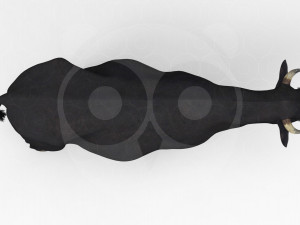 Black Cow 3Dモデル