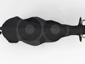 Vaca Negra Modelo 3D