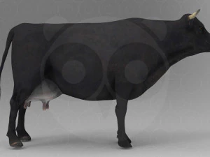 Vaca Negra Modelo 3D
