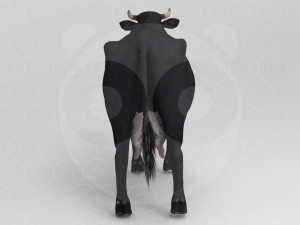 Black Cow 3Dモデル