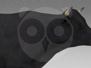 Black Cow 3Dモデル