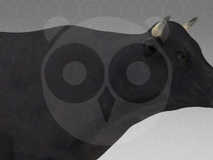 Vaca Negra Modelo 3D