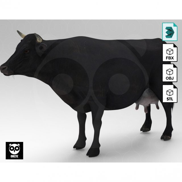 Black Cow 3Dモデル .c4d .max .obj .3ds .fbx .stl .blend 