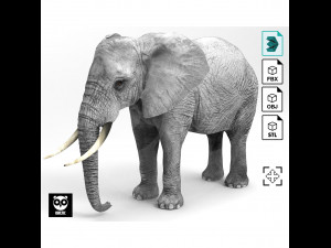 Wild Animal Pack - Rigged - Animated Model 3D