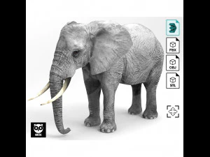 Wild Animal Pack - Rigged - Animated 3D Model