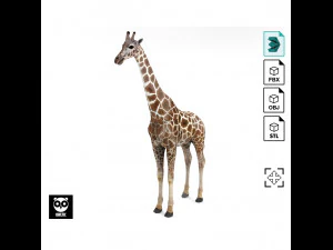 Wild Animal Pack - Rigged - Animated 3D Model