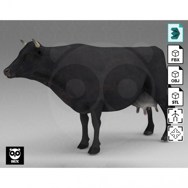 Wild Animal Pack - Non Animated Model 3D .c4d .max .obj .3ds .fbx .stl .blend 