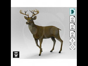 Wild Animal Pack - Non Animated 3D Model