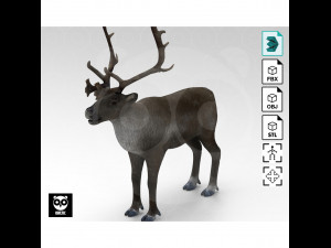 Wild Animal Pack - Non Animated Model 3D
