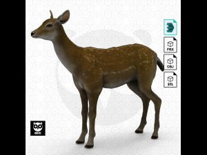 Wild Animal Pack - Non Animated Model 3D
