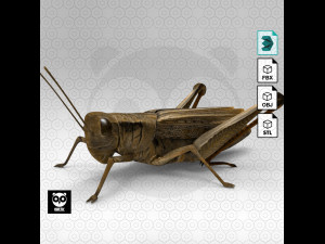 Grasshopper 3Dモデル