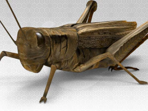 Grasshopper 3D Model