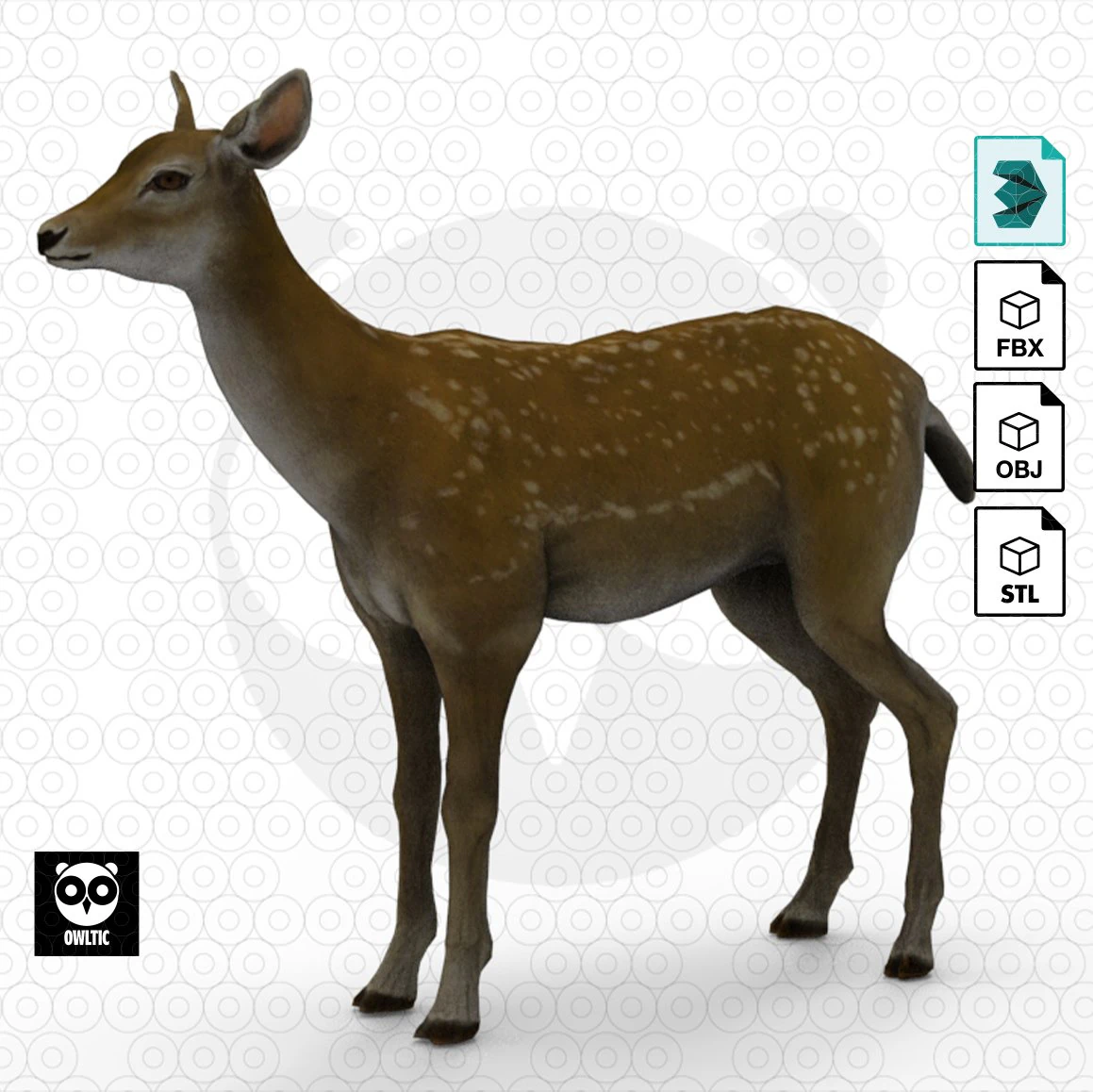 Brown Deer 3D Model .c4d .max .obj .3ds .fbx .stl .blend 