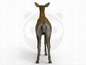 Brown Deer 3D Model