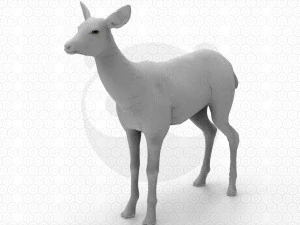 Brown Deer 3D Model