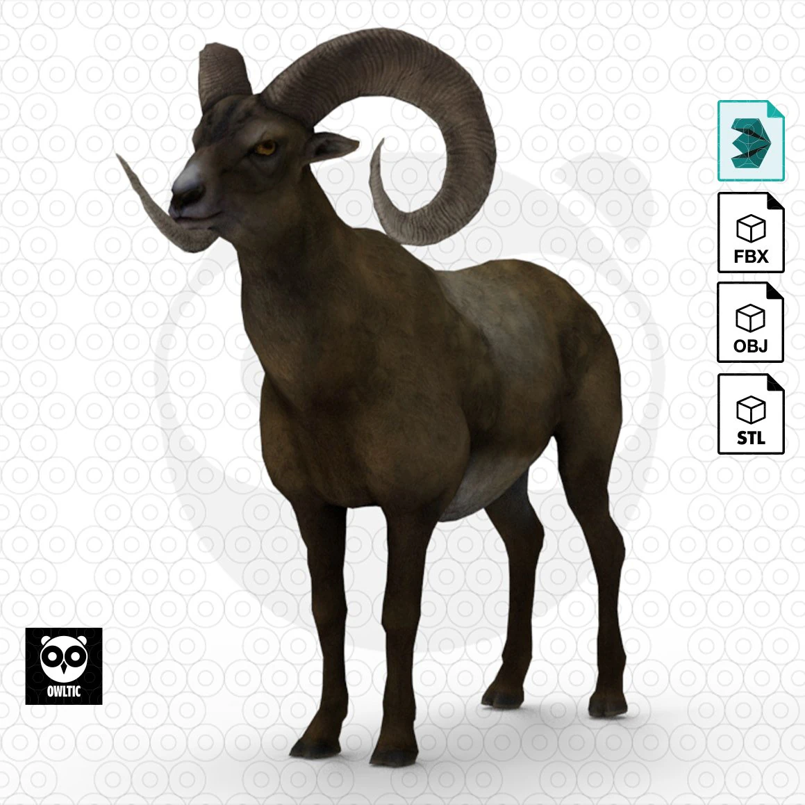 Bighorn sheep - Ram - Goat 3D Model .c4d .max .obj .3ds .fbx .stl .blend
